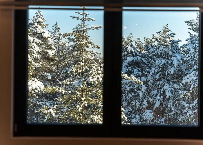 Mount Gold * Zlatibor